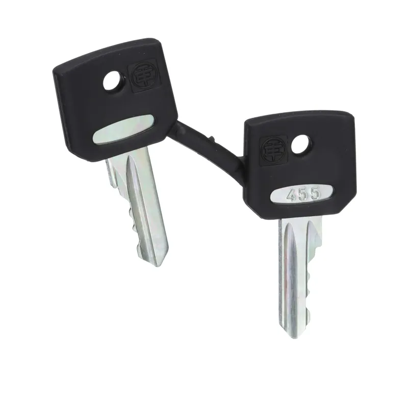 Schneider Electric ZBG455 Square D 22 mm Push Button Key Replacement MPN ZBG455