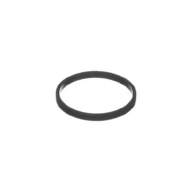 Lochinvar 100208099
