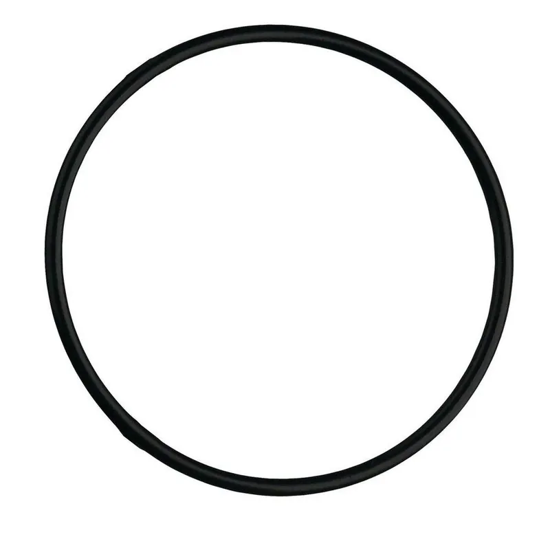 Watts 7300398 EPDM, O-Ring for PWHP Full Flow Water Filter Housing PWORFFHSG