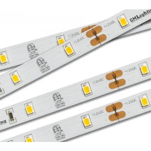 GM Lighting LTR-E-12V-1.5W-30K-16 12V 1.5W/ft Economy Series Flexible LED Tape Light 3000K 16ft Reel