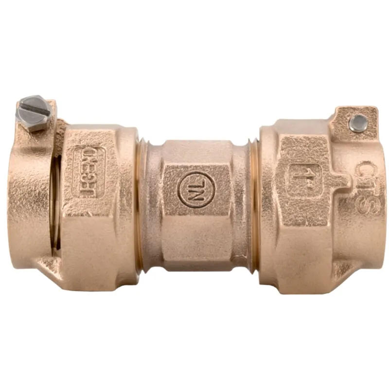 Legend Valve 313-216NL 1-1/4 T4301 No Lead Pak X Pak
