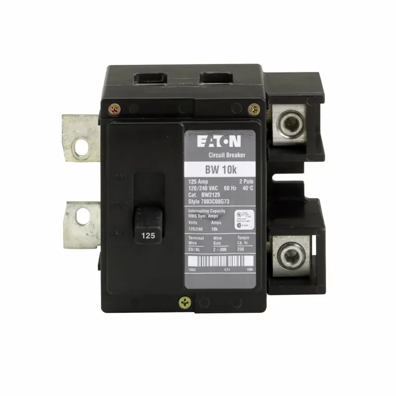 Eaton BW2100 Type BW Circuit Breaker, 120/240 VAC, 100 Amp, 10 kA Interrupt, 2 Poles