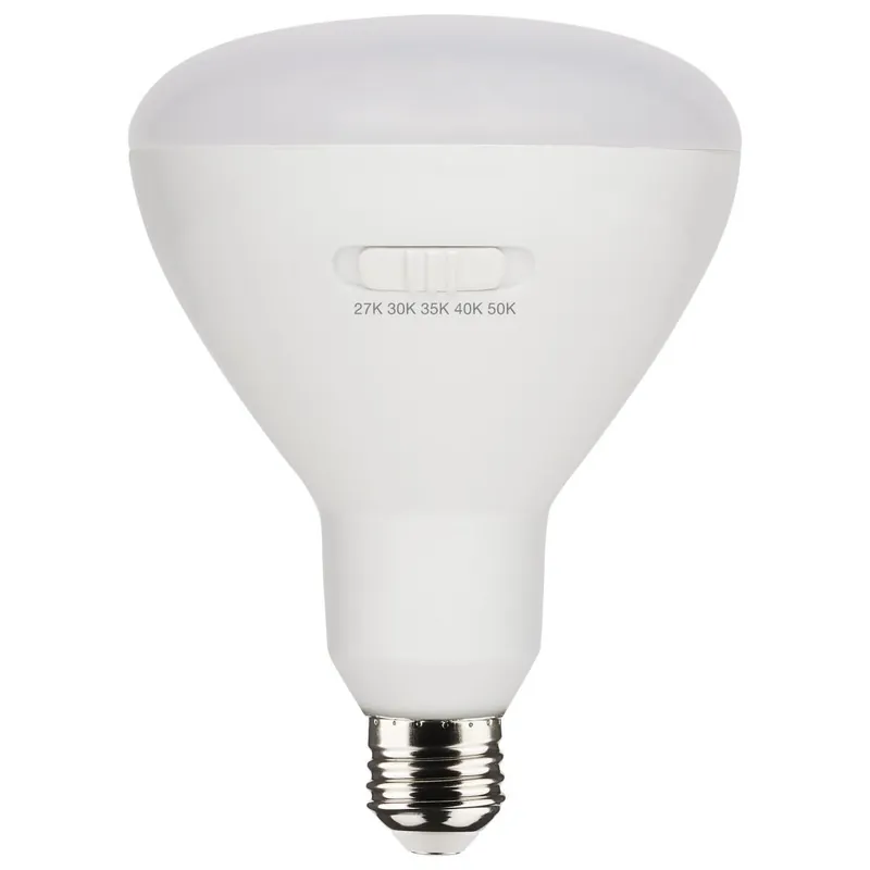 SATCO S11779 Dimmable Lamp 13 W 75 W Incandescent Equivalent