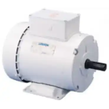 Leeson 121944.00 AC Single Phase Agricultural Duty Motors 3 hp 60 Hz