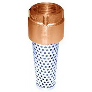 Simmons 7403 Simmons 1 Inch Bronze Body Stainless Steel Spring Foot Valve 200 psi