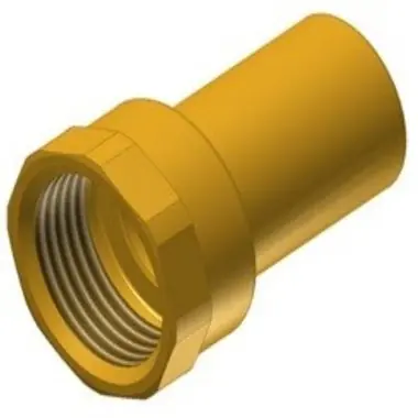 Apollo 10075762 803-2 Female Street Adapter Lead Free Brass 1/2x1/2