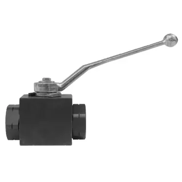 Dixon Valve & Coupling HPBV12