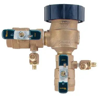 WATTS 1LF800M4-QT-FZ
