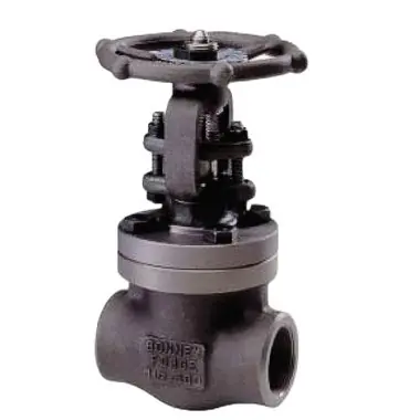 Bonney Forge HL11W-14 Gate Vlv 1/4 S/W 800# A105