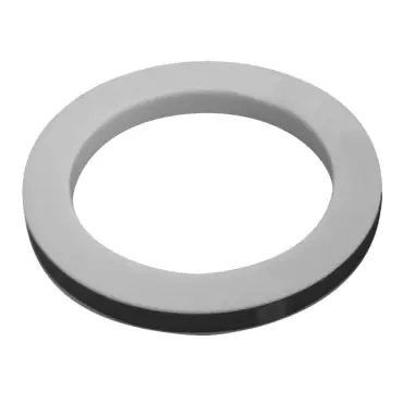 Dixon Valve & Coupling 100-G-TF 100-G-TF