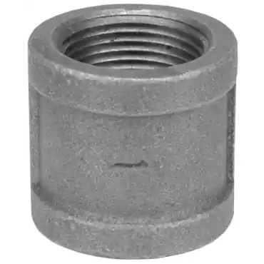 Dixon Valve & Coupling RHC50B NPT Threaded Coupling 1/2 NPT Female x Female 125# Brass