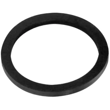 Dixon Valve & Coupling FNG150NST Gasket for Fog Nozzle