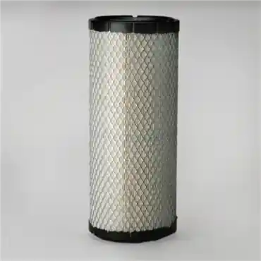 Donaldson P822768 Primary Filter
