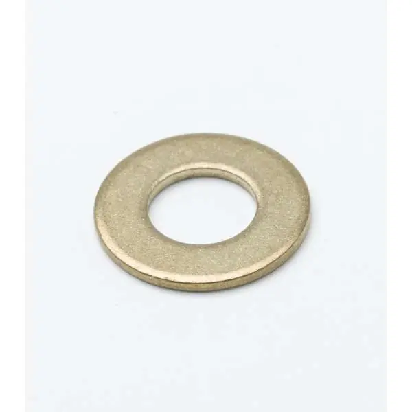T&S Brass 000976-45 Washer 15/16 Inch Brass