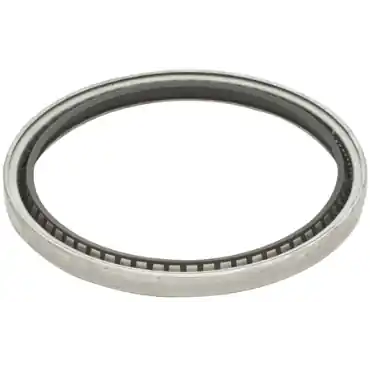 Garlock 21086-3275 Model 53 Single Lip Seal with Springs