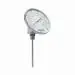 Trerice B836-04-04 Bi-Metal Thermometer