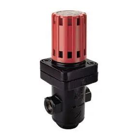 Armstrong D24608 GD-30 - 1/2 NPT, 50-140 psi, Pressure Regulating Valve