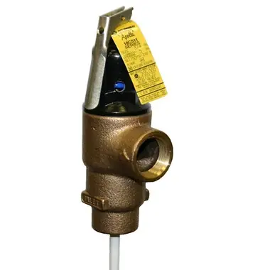 Apollo TPC334 Valve Replacement