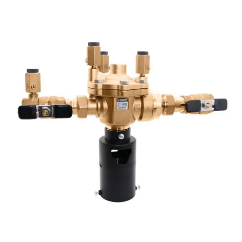 Caleffi 574006A Backflow Preventer 1 FNPT ASSE 1013