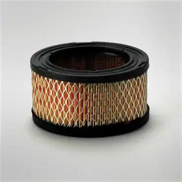 Donaldson P528206 Primary Filter