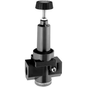 Dixon Valve & Coupling R30-06R Regulator 0-125 PSI Replacement MPN