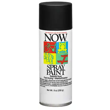 Krylon I21211007 NOW Spray Paint 16 oz Black