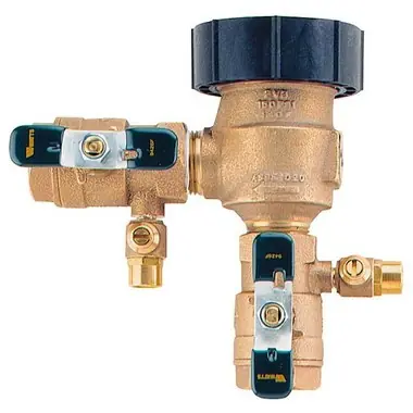 WATTS 11/4LF800M4-QT-FZ